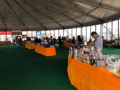 文旅融合展新篇，服务保障创佳绩——阿拉善左旗文化和旅游局全力护航第15届越野e族阿拉善英雄会