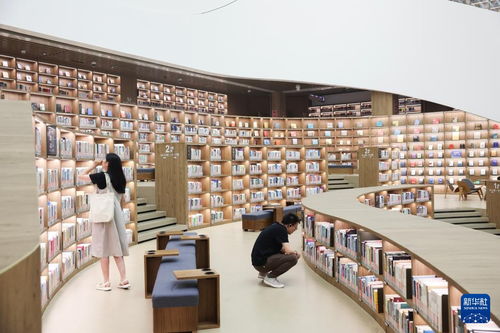 文化中国行 浙江嘉兴积极推进“三馆”现代化，赋能公共文化服务新生态