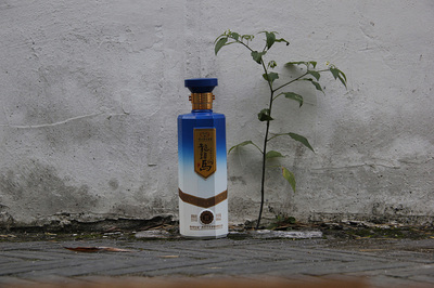 龙头马品牌形象与文化创意策划 包装设计与营销策略融合